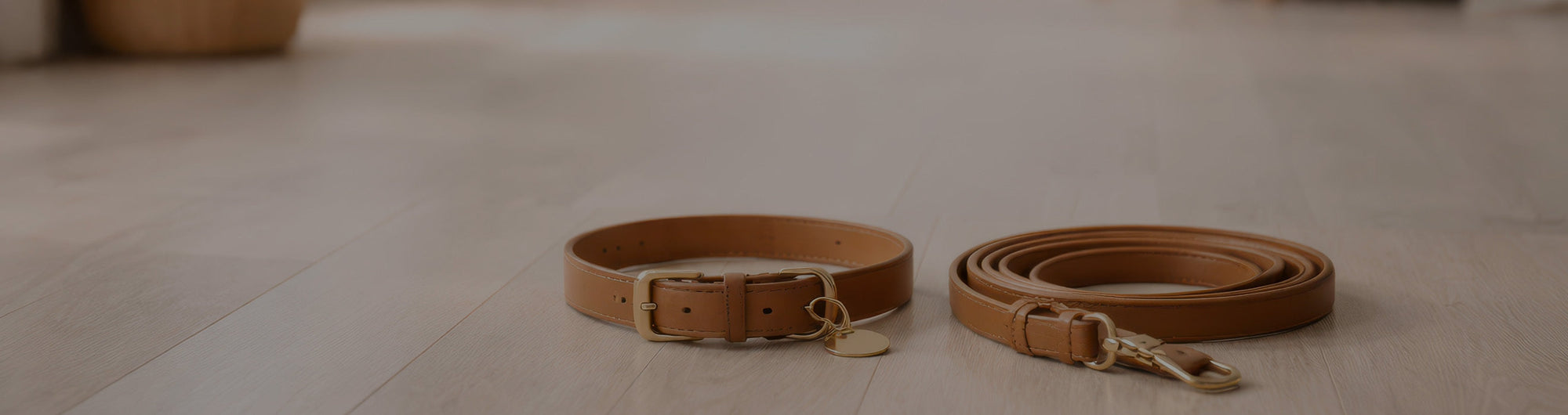 Top Pet Accessory Trends Taking Over the UK in 2026