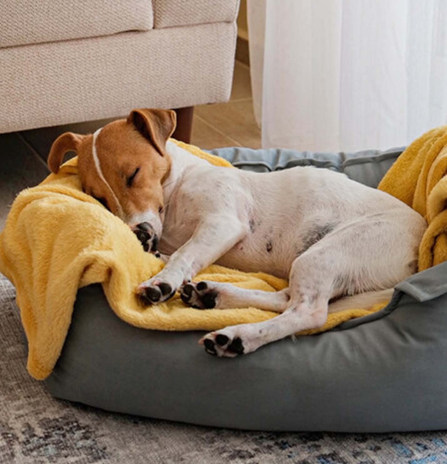 Cozy Sleep