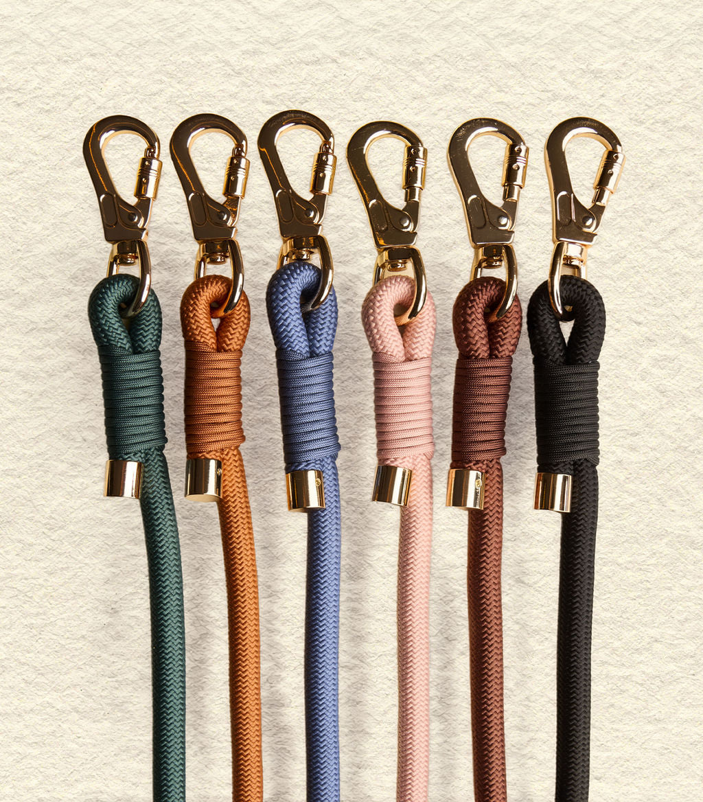 Leashes