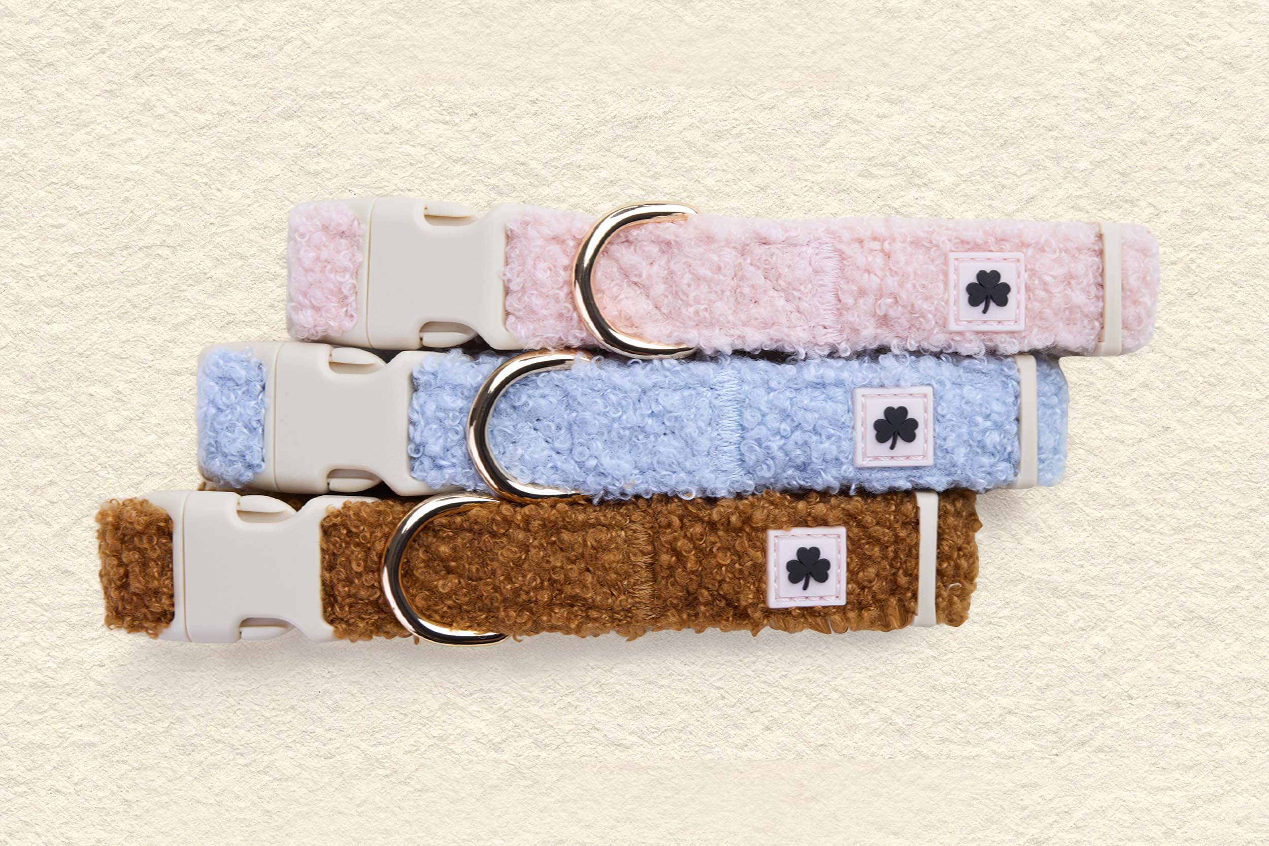 Biscuit - Teddy Collection Collar