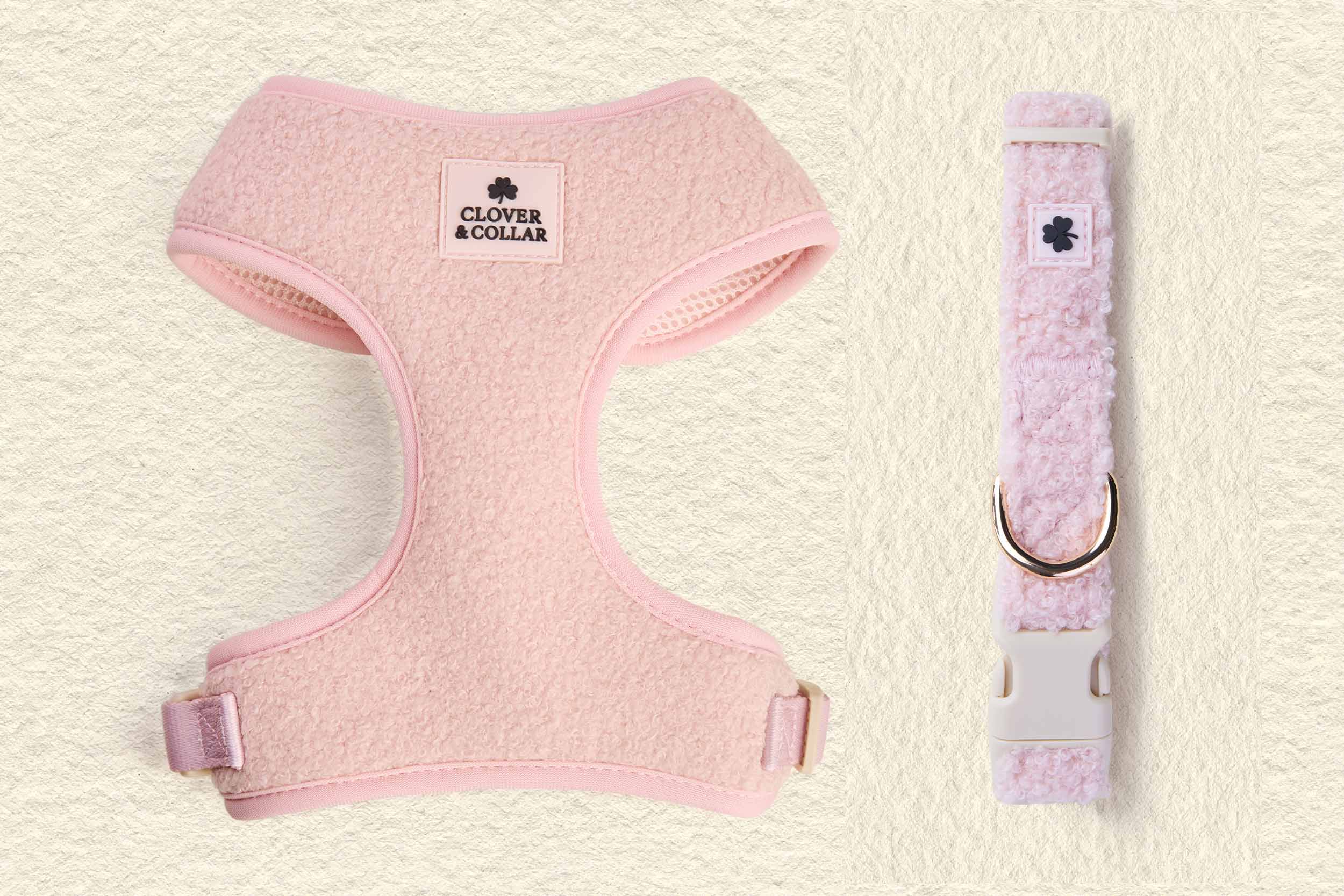 Harness Collar Combo Product - Teddy Collection
